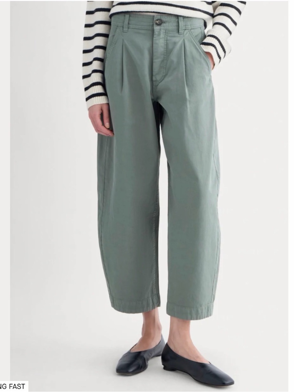 Everlane Sage Green Pleated Trousers